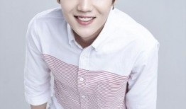 明星排行榜,璀璨星光闪耀娱乐圈